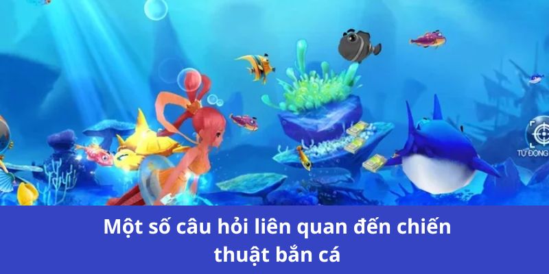 Một số câu hỏi liên quan đến chiến thuật bắn cá