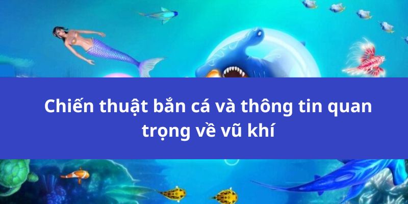 Chiến thuật bắn cá và thông tin quan trọng về vũ khí